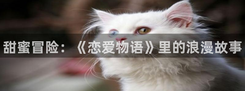 91动漫在线观看网站