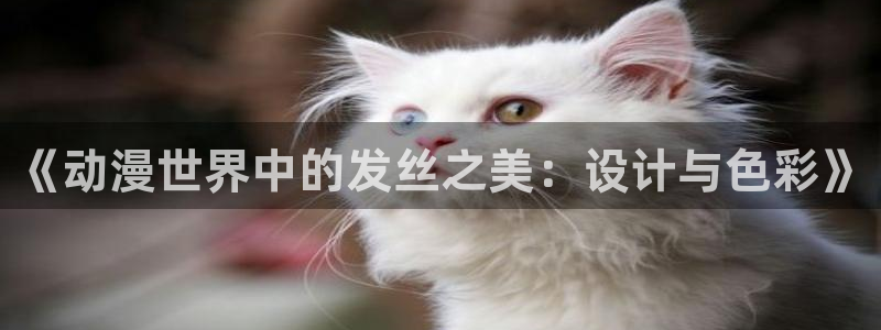 91动漫在线久久